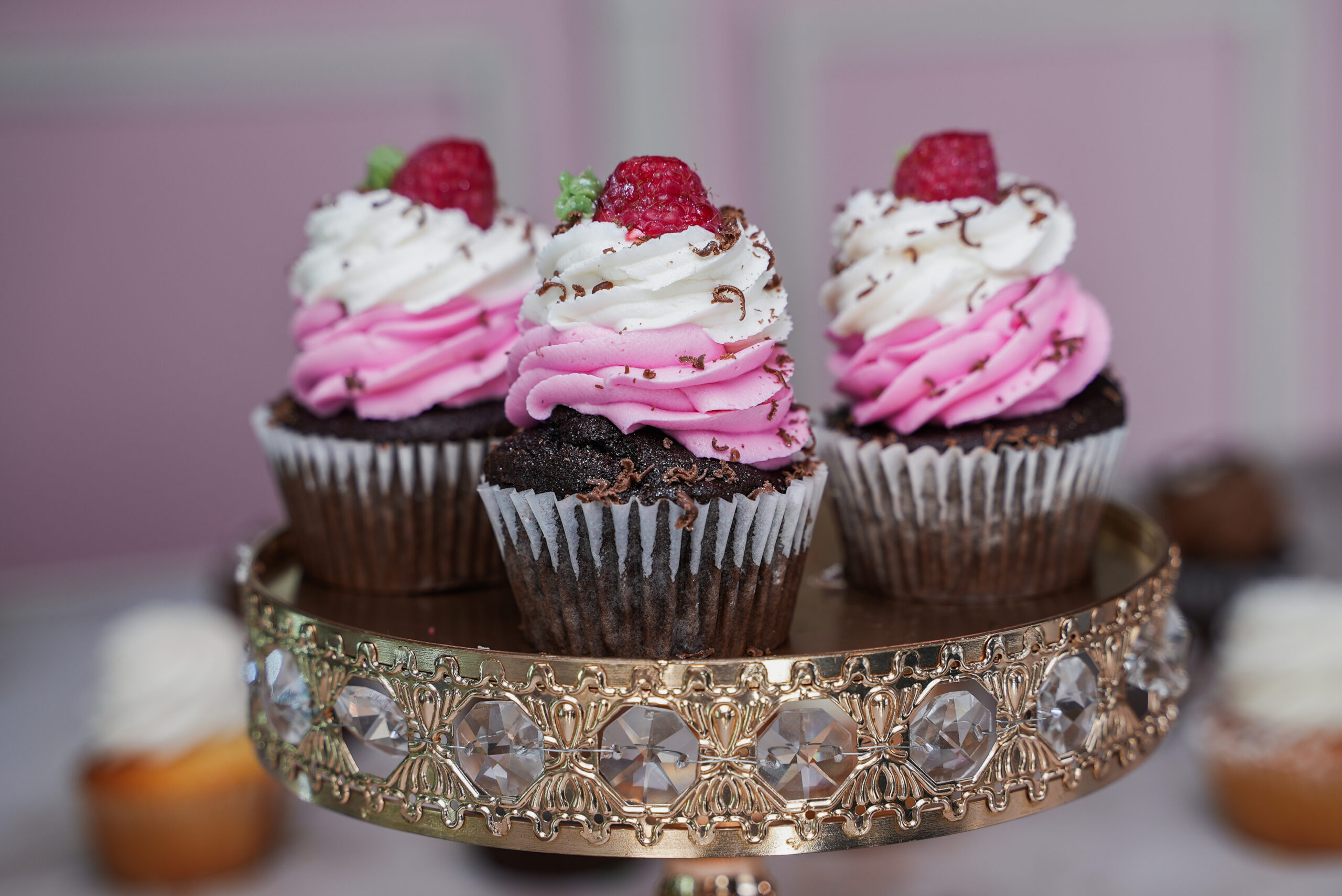Chocolate Raspberry Cupcakes