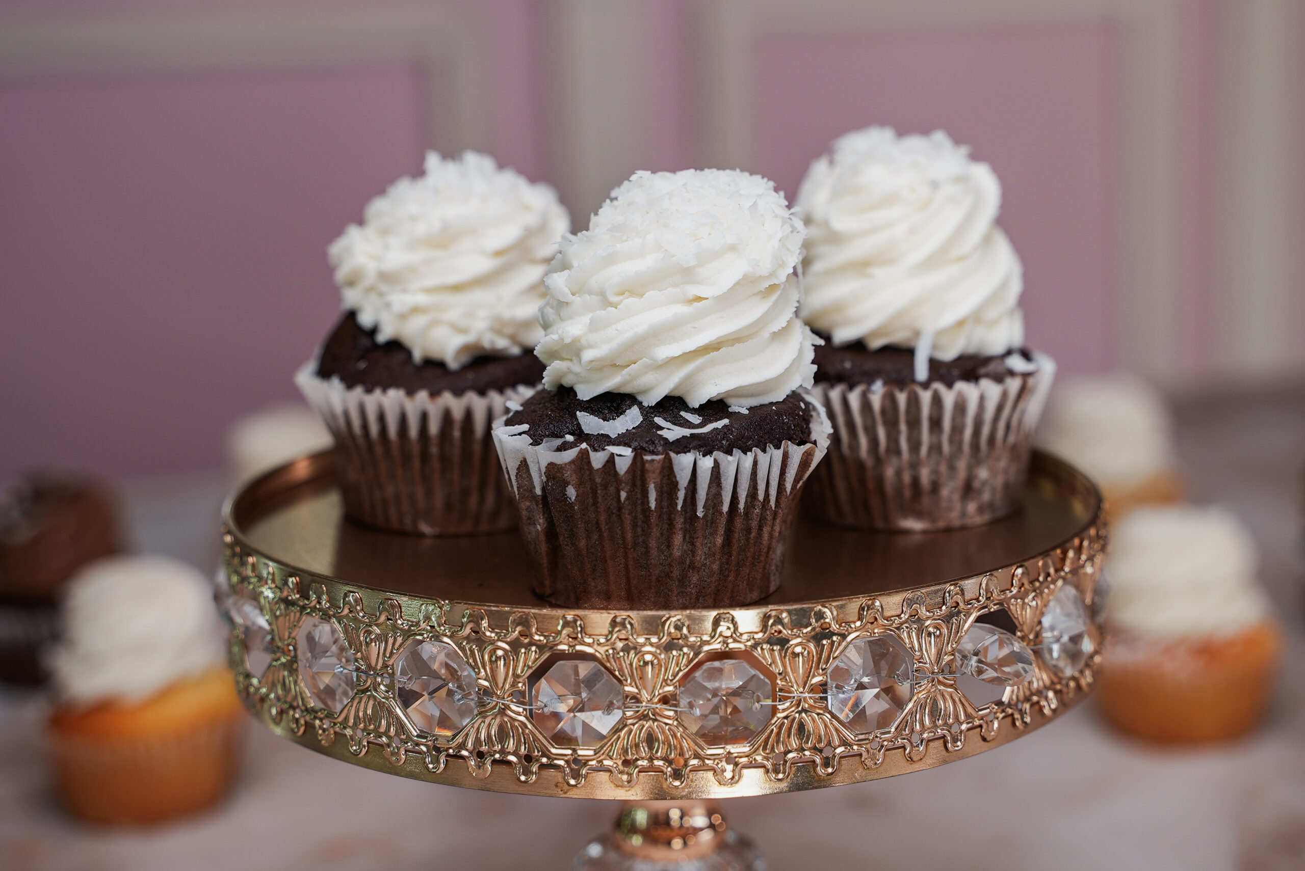 Chocolate Coconut Buttercream Cupcakes