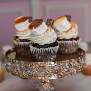 Smores Cupcakes