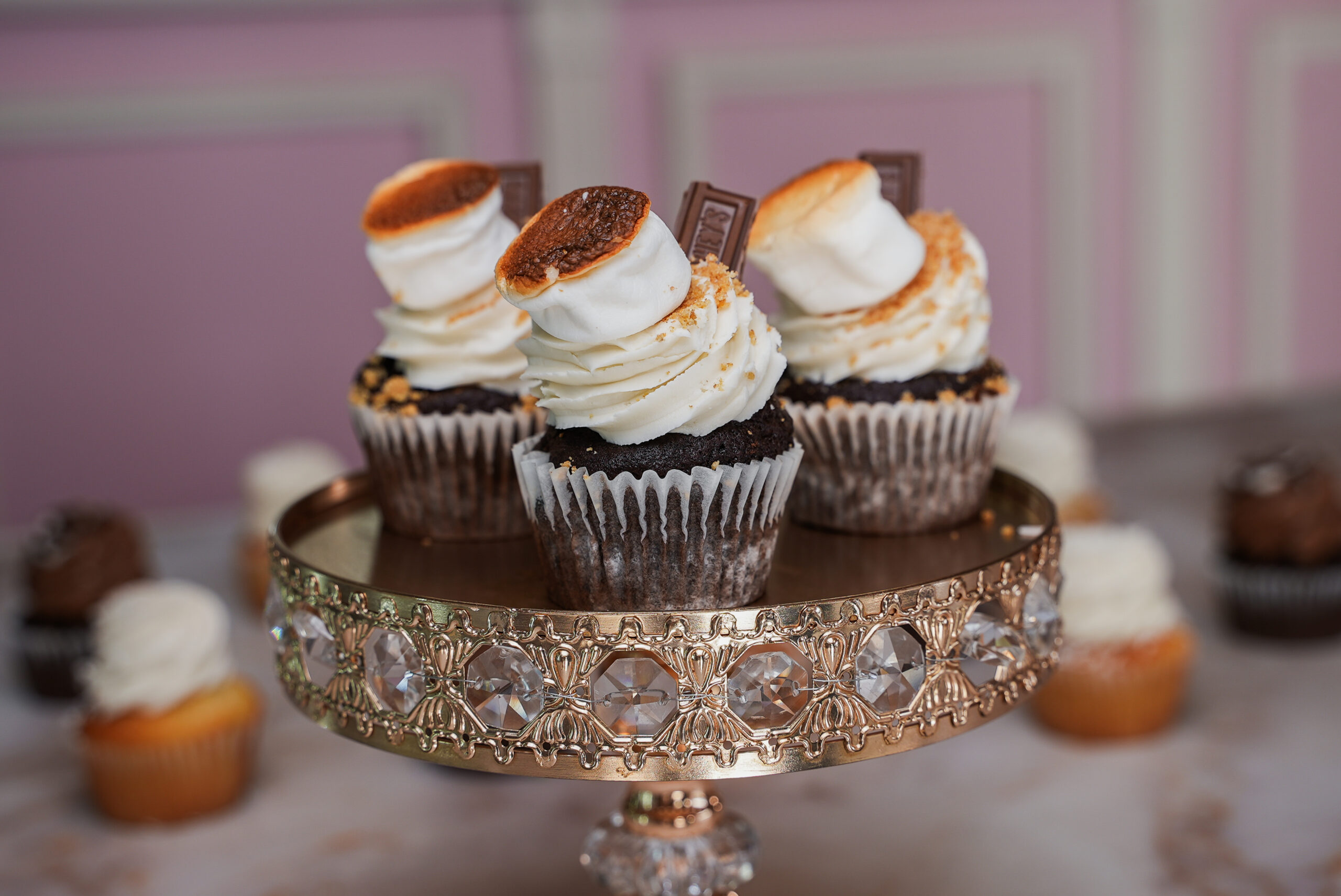Smores Cupcakes