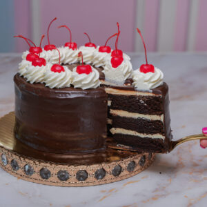 Chocolate Ho Ho Cake