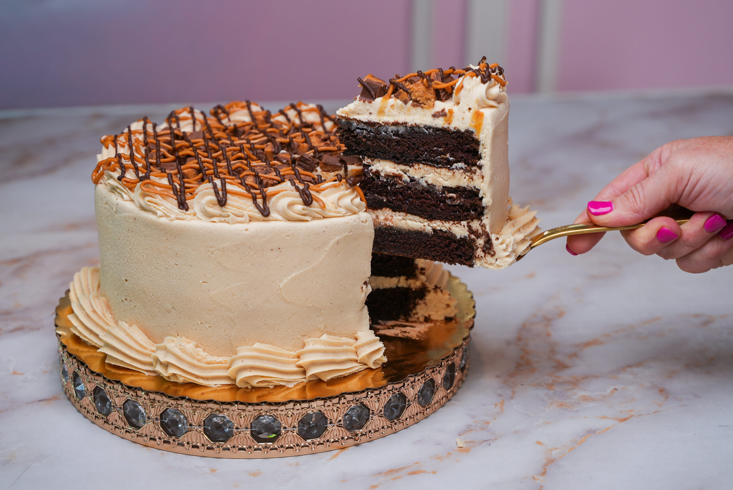 Chocolate Peanut Butter Cake